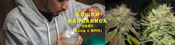 ПСИЛОЦИБИНОВЫЕ ГРИБЫ Алзамай