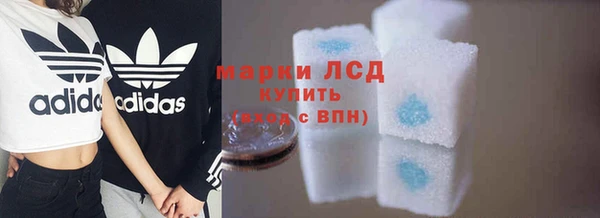 ПСИЛОЦИБИНОВЫЕ ГРИБЫ Алзамай