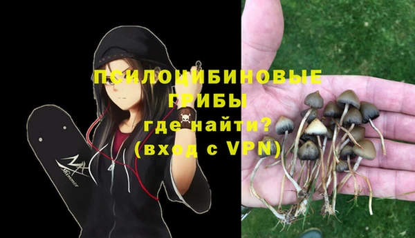 ALPHA-PVP Алексин