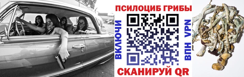 Псилоцибиновые грибы Psilocybe Сарапул