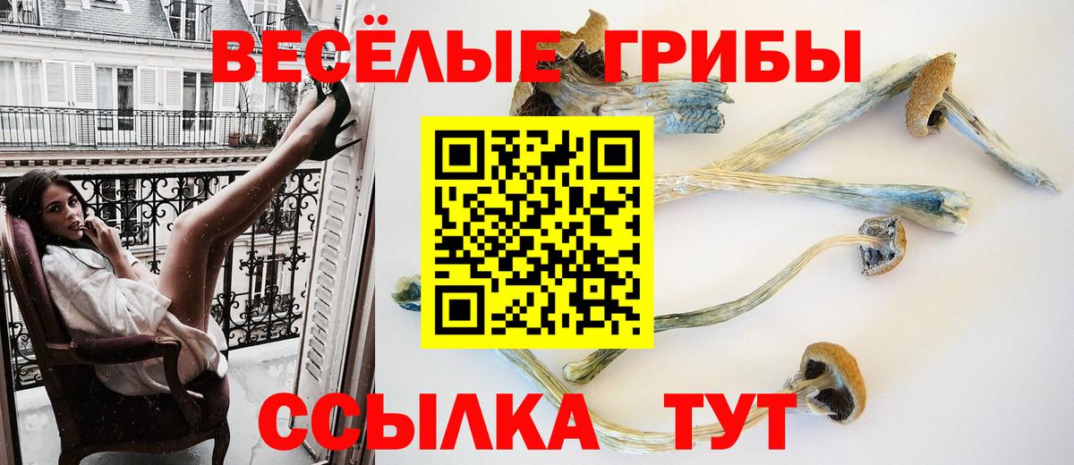 Галлюциногенные грибы мухоморы Сарапул